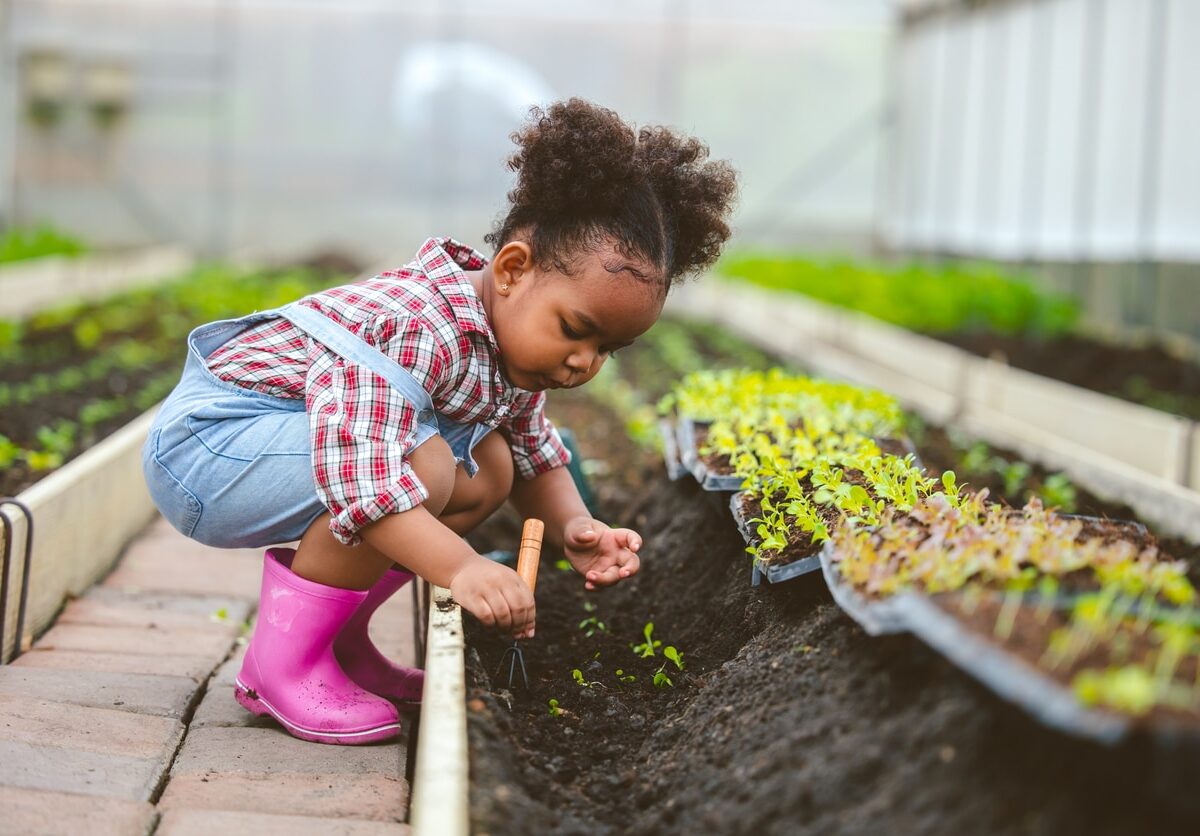 Child play planting the green tree in the vegetable garden.