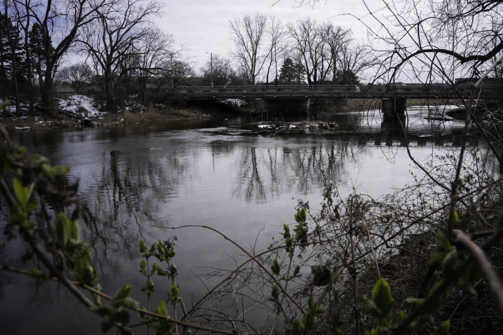 A bridge crosses a creek in the distance