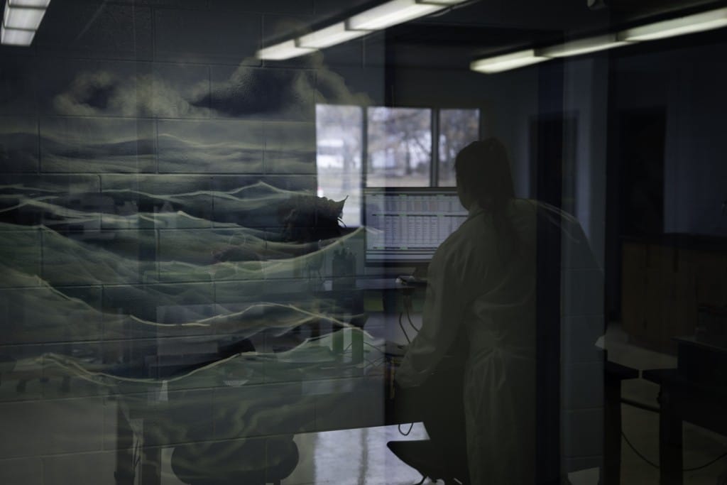 A reflection in glass shows a mural of water