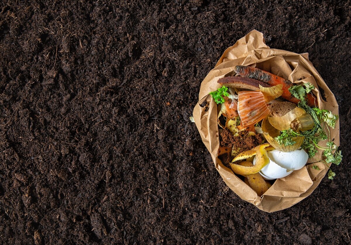 This photo depicts rich compost and food scraps.