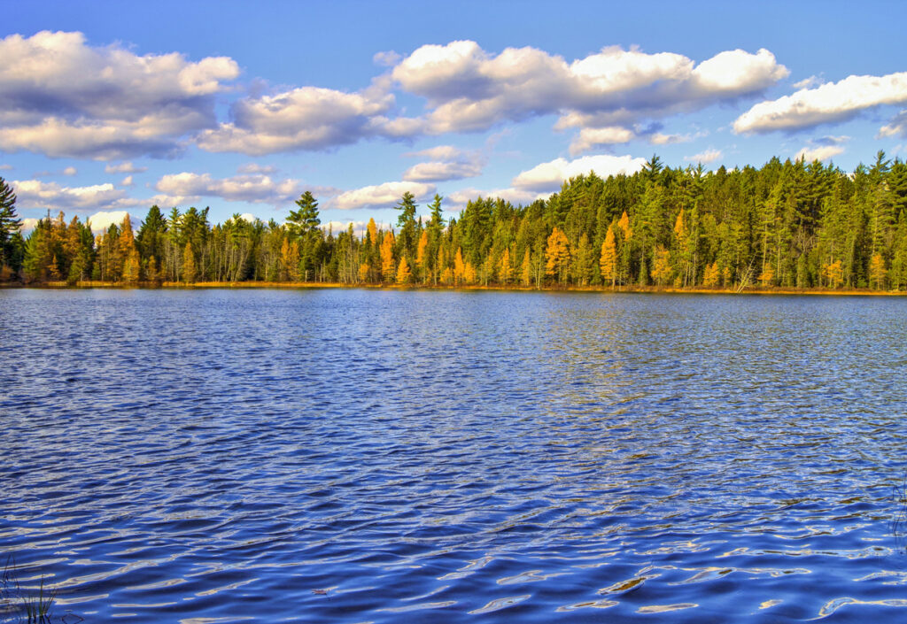 Lake at Michigan's Hartwick Pines State Park