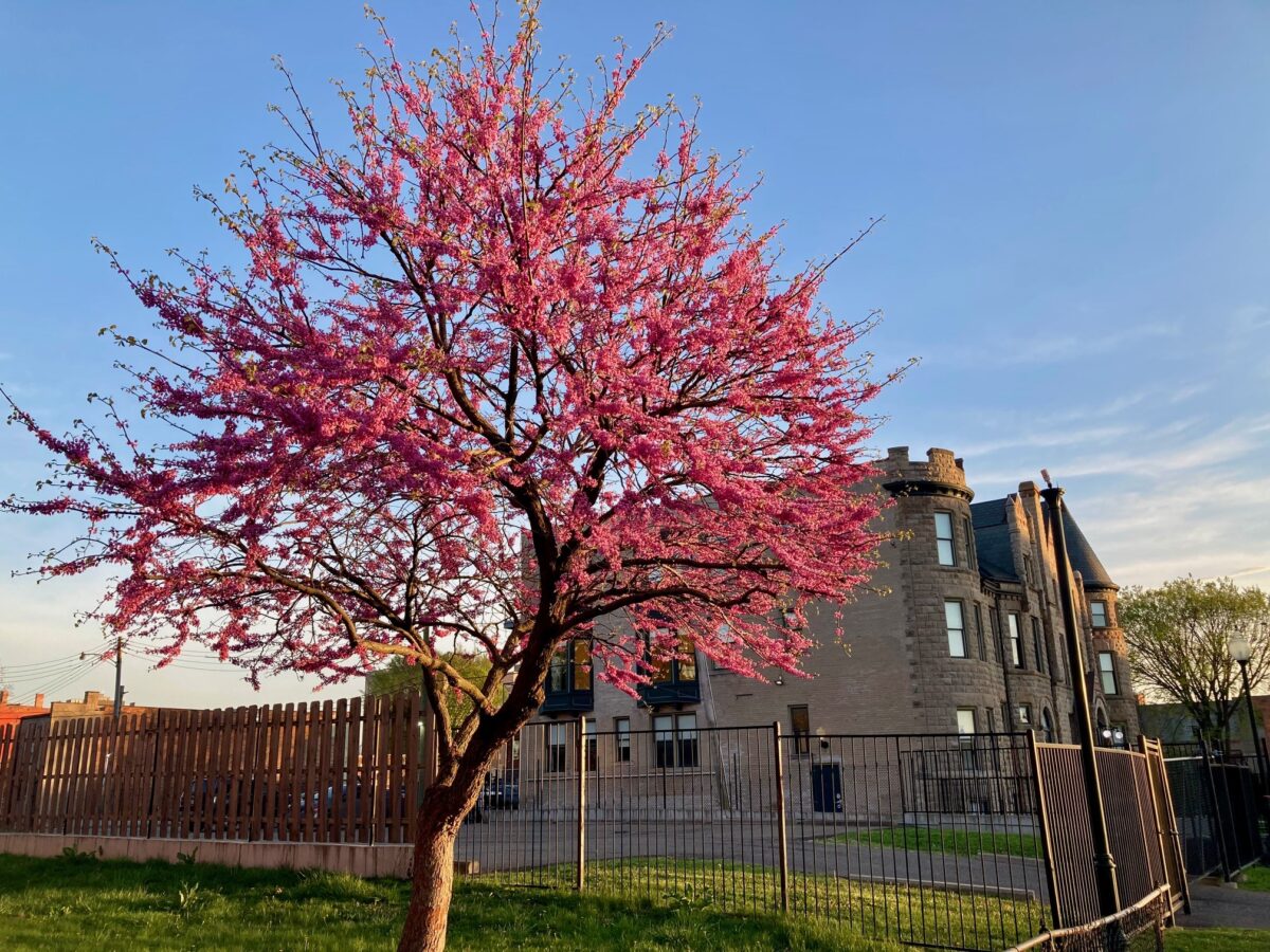 What we’re reading: Detroit breaks 1899 heat record with 86-degree April day