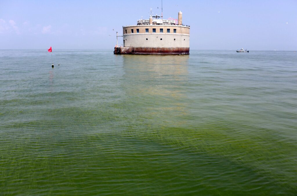 Lake Erie algal bloom near Toledo drinking water intake in 2014.