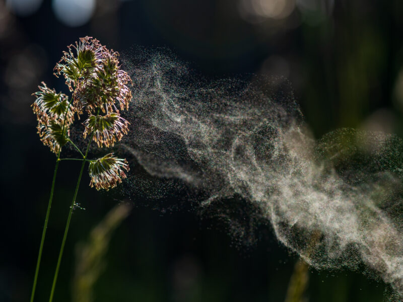 Allergies, meet climate change: ‘April was a pretty bad month’