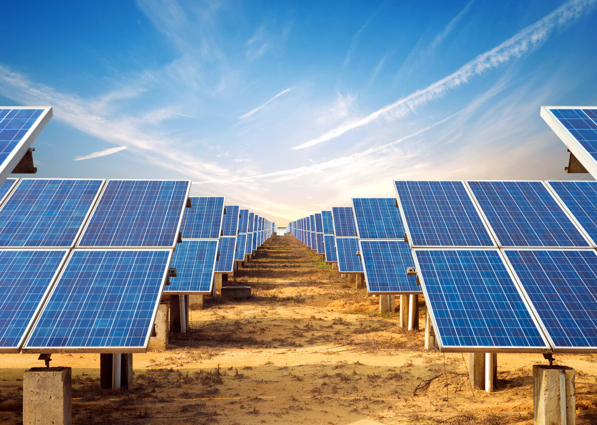 Field of solar panels