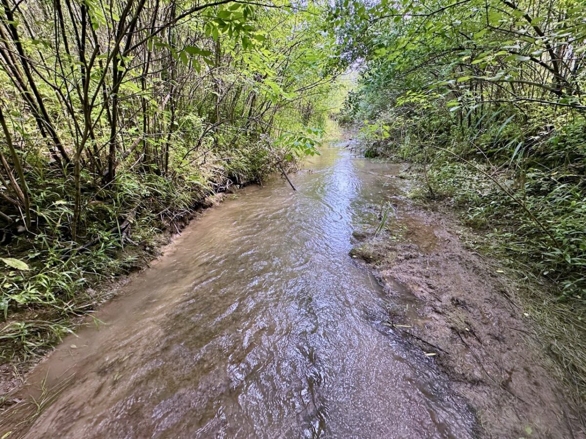 Horner Creek on Stellantis development site in Van Buren Township.