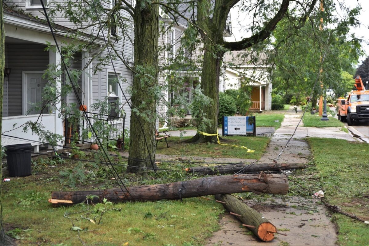 Downed trees in Milan, Michigan after 2021 storm.