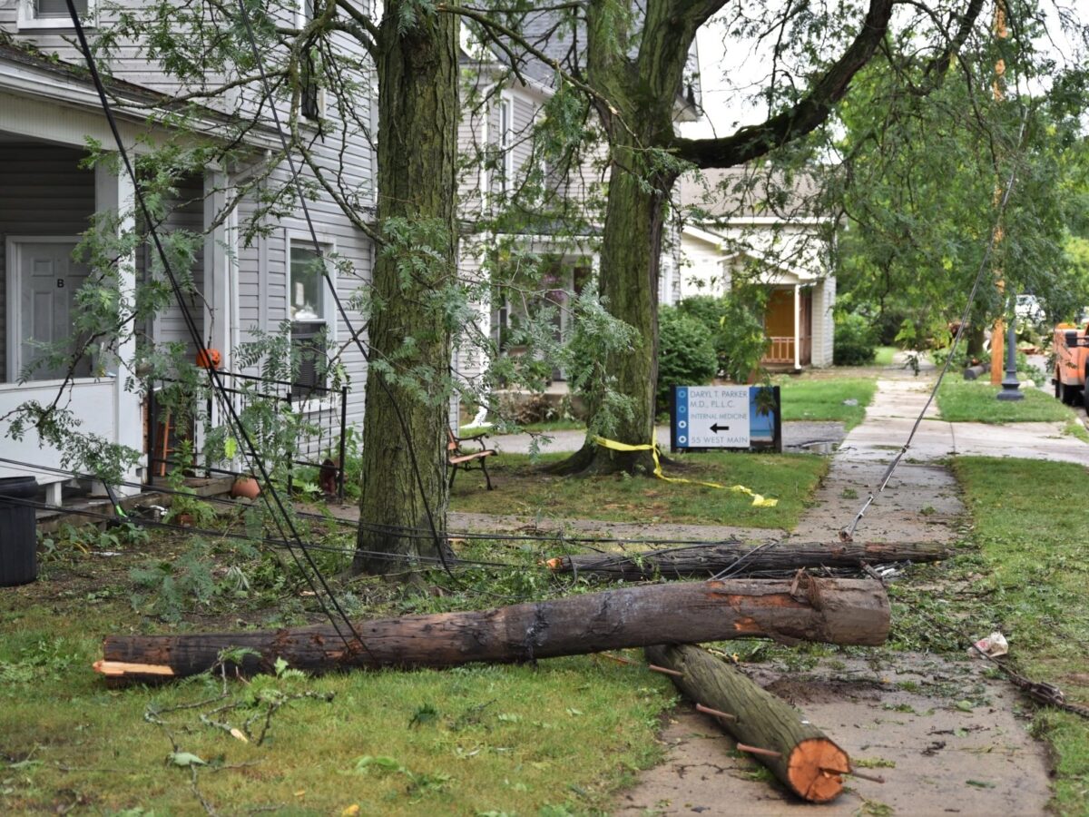 Downed trees in Milan, Michigan after 2021 storm.
