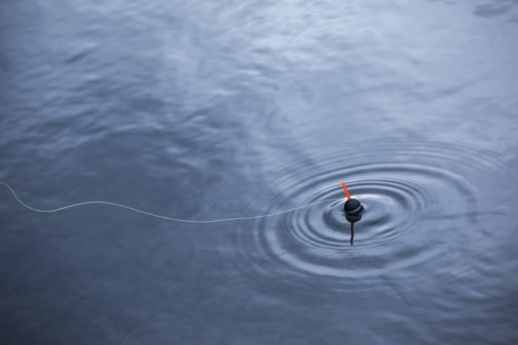Fishing float in water