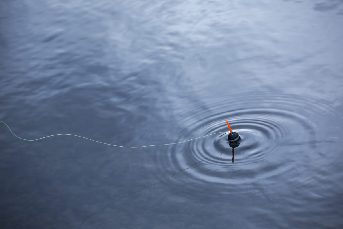 Fishing float in water