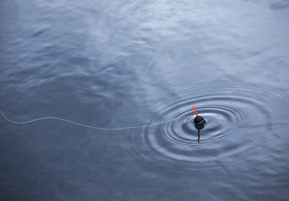 Fishing float in water