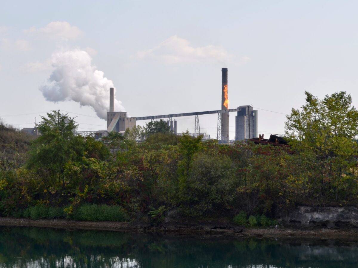 Zug Island pollution causes premature deaths, Harvard epidemiologist says