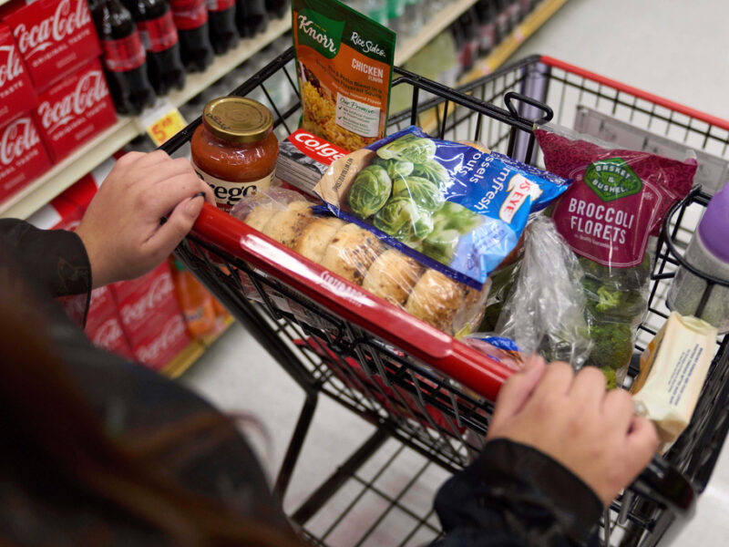‘Lifeline’ Michigan SNAP benefits to stop in November due to federal shutdown