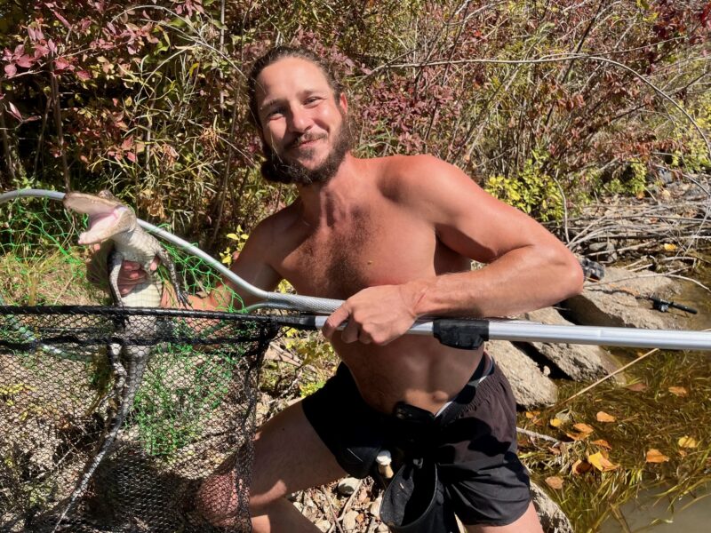 Man holds small alligator captured on Detroit's Belle Isle