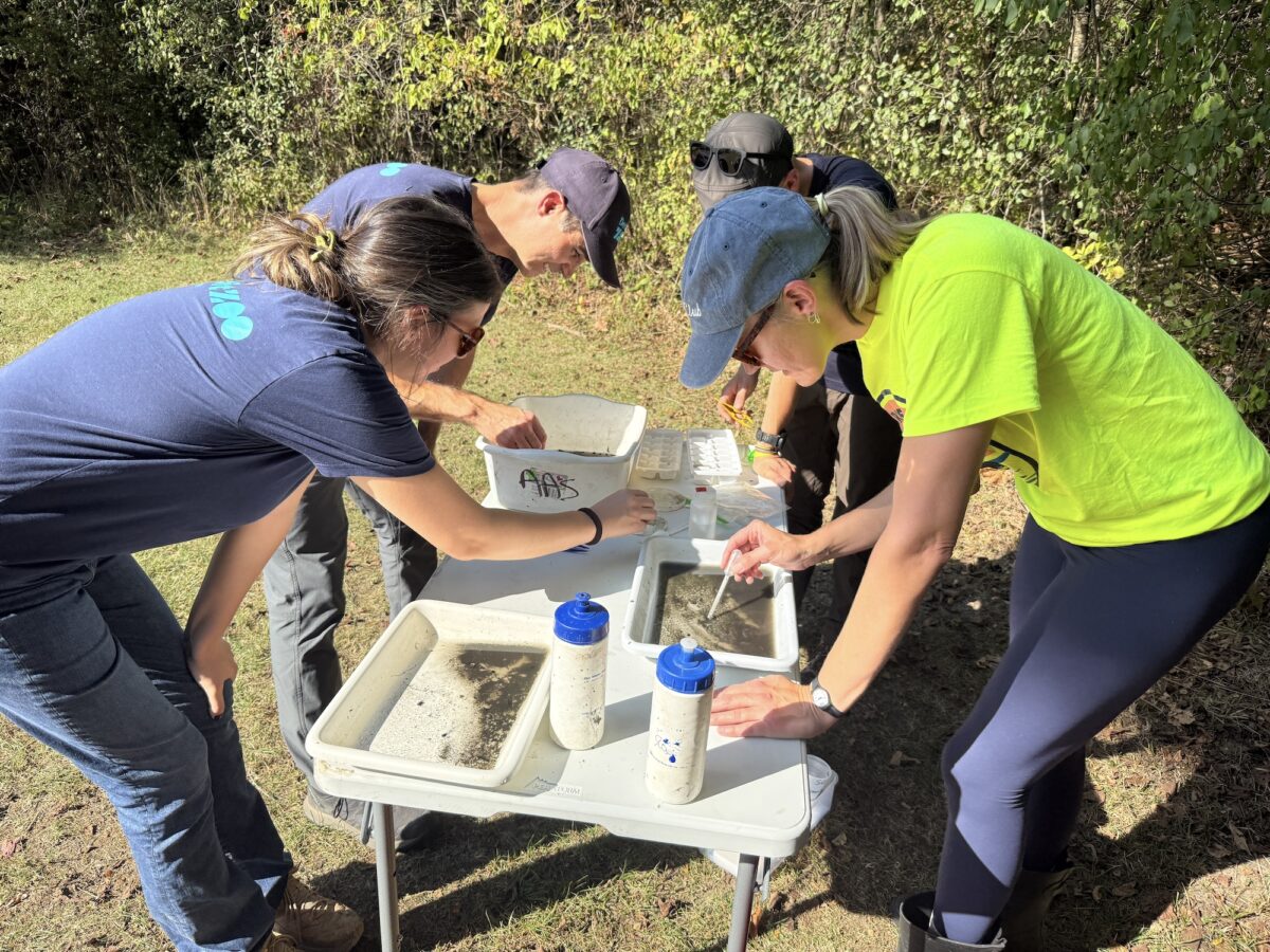 Detroit Zoo staff wade into local waterways to protect the Red Run and Clinton River watershed