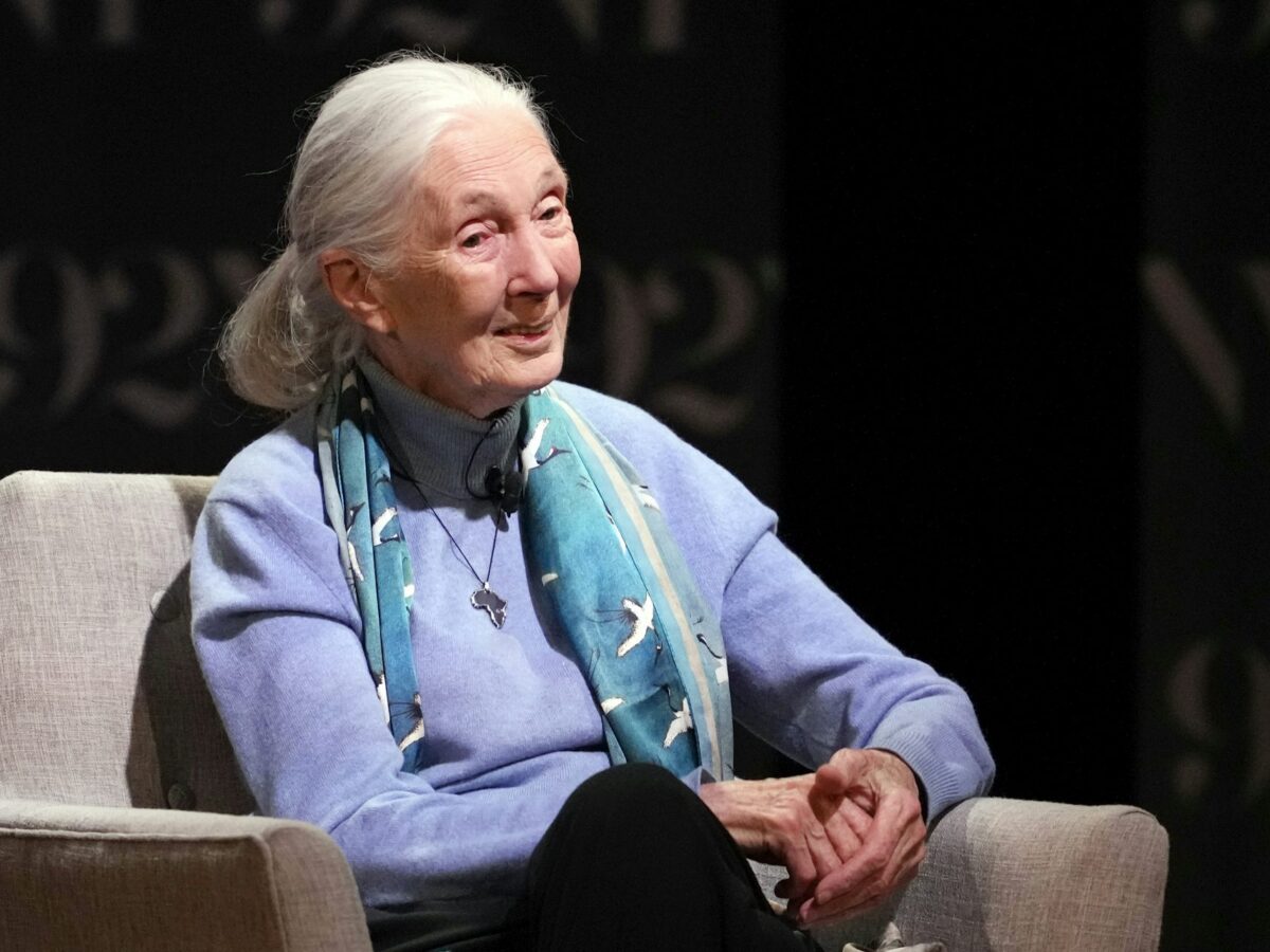 Jane Goodall, the gentle disrupter of science, dies at 91