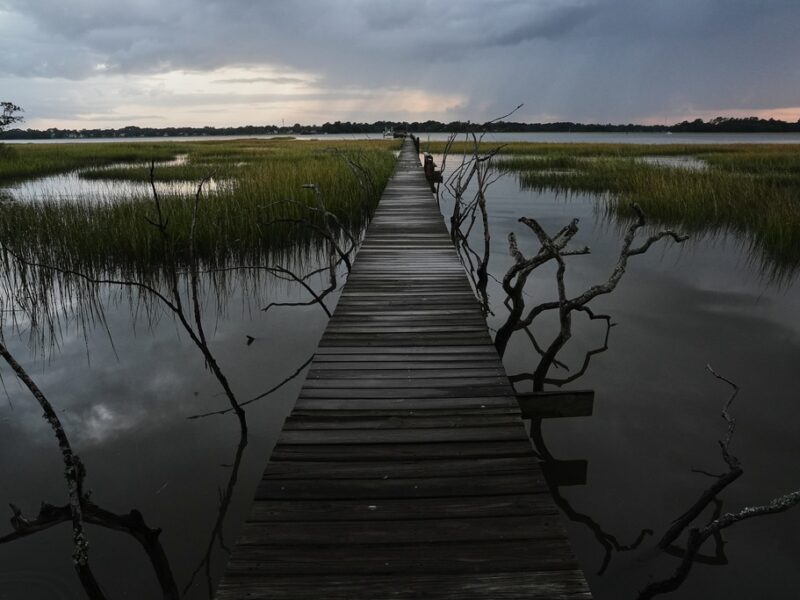 Wetlands in Charleston, South Carolina