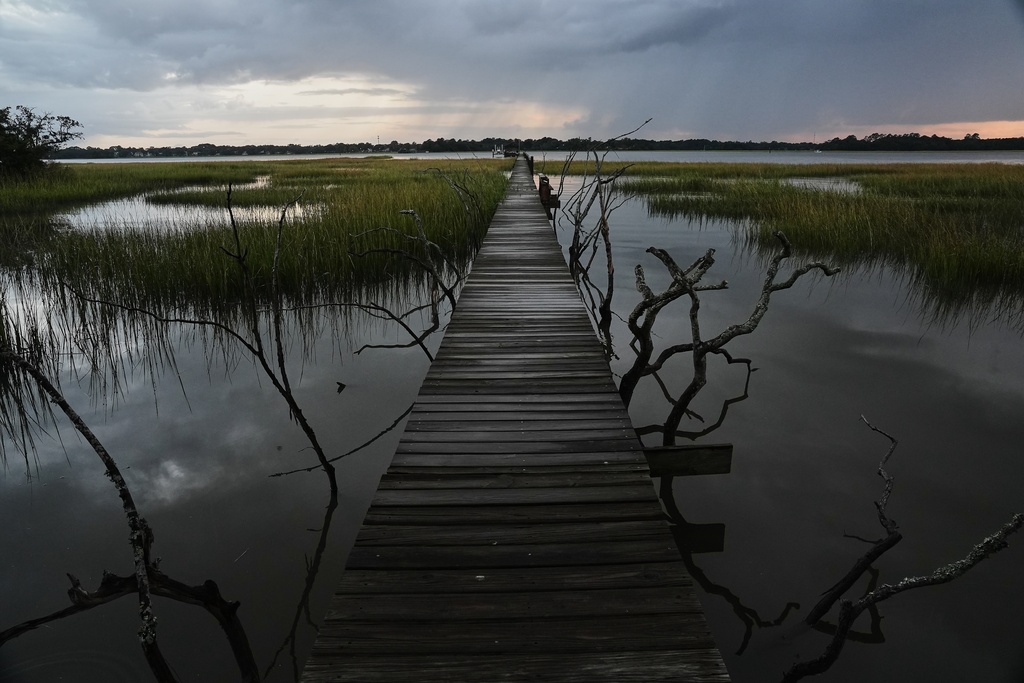 Wetlands in Charleston, South Carolina