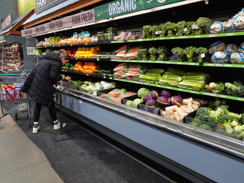 How SNAP benefit disruptions harm child development