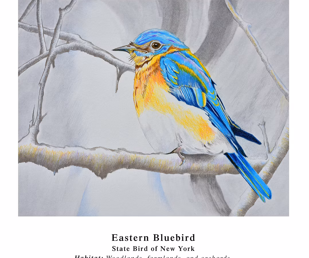 A bird illustration by Detroit artist Jim Grogan.