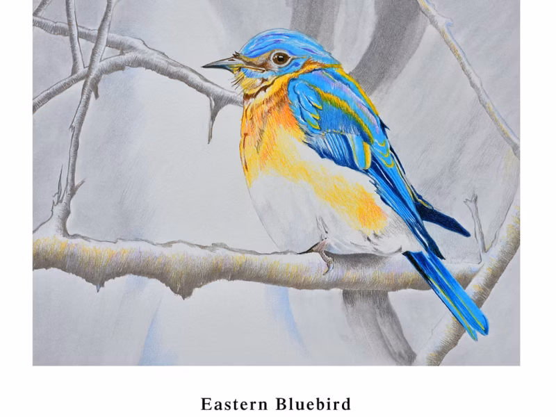 Planet Detroit’s sustainable holiday gift picks for 2025