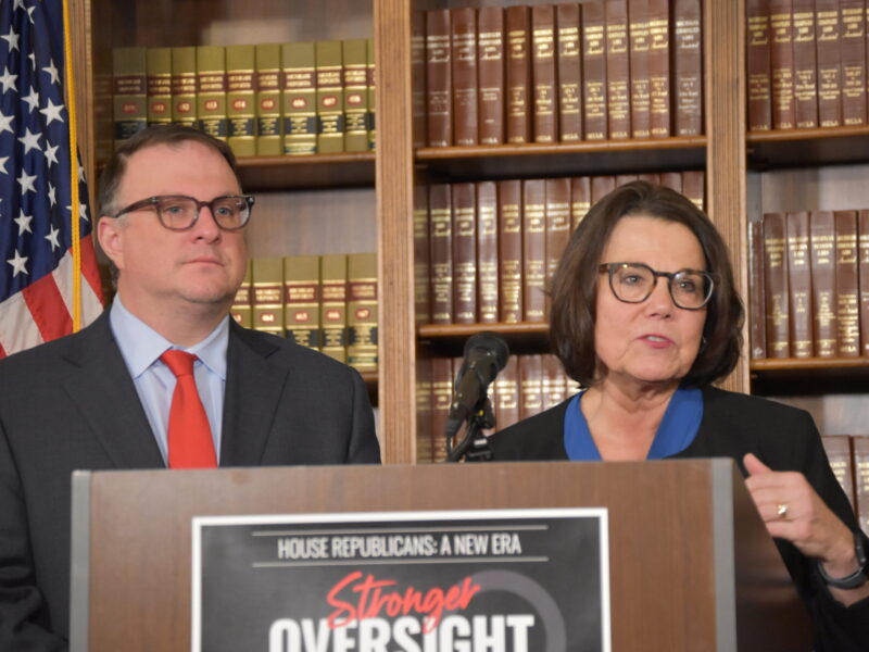 Michigan House GOP members Matt Hall and Ann Bollin speak at press conference.