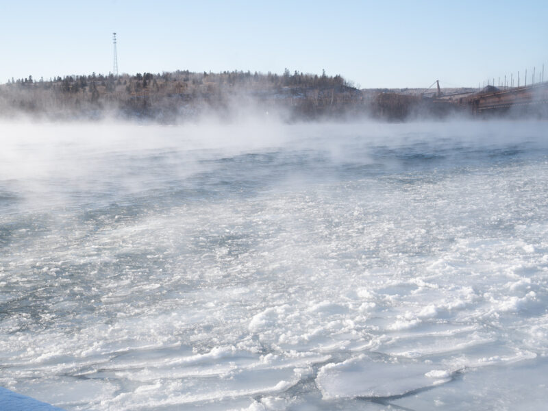 What we’re reading: Polar vortex incoming