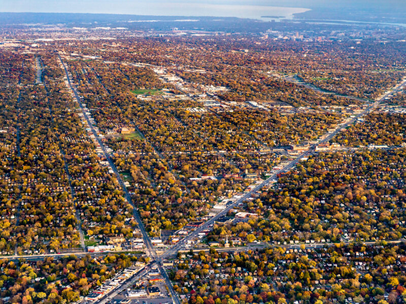 Can Michigan’s forests hold back the tide of climate change?