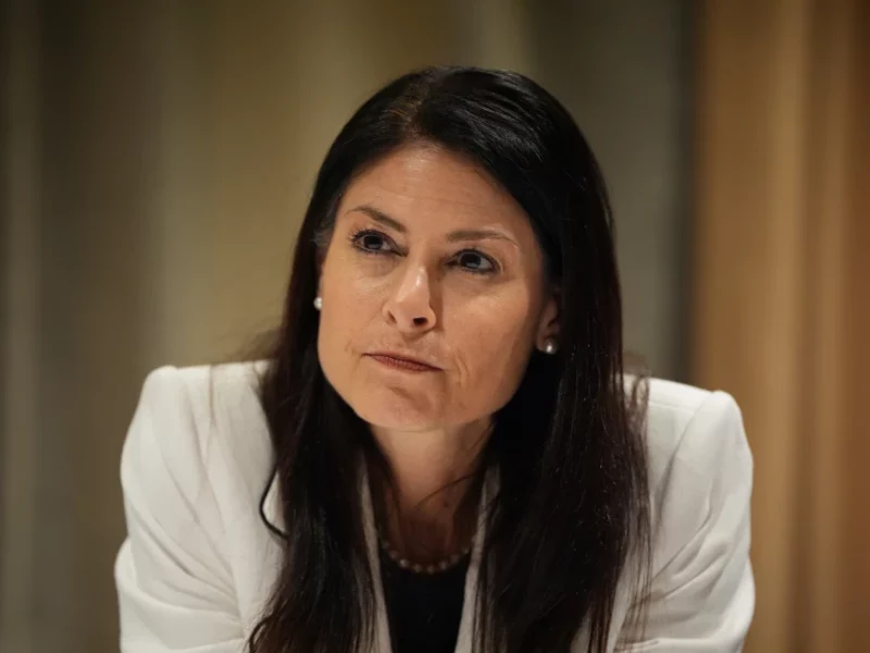 Nessel challenges DTE’s Saline data center contract