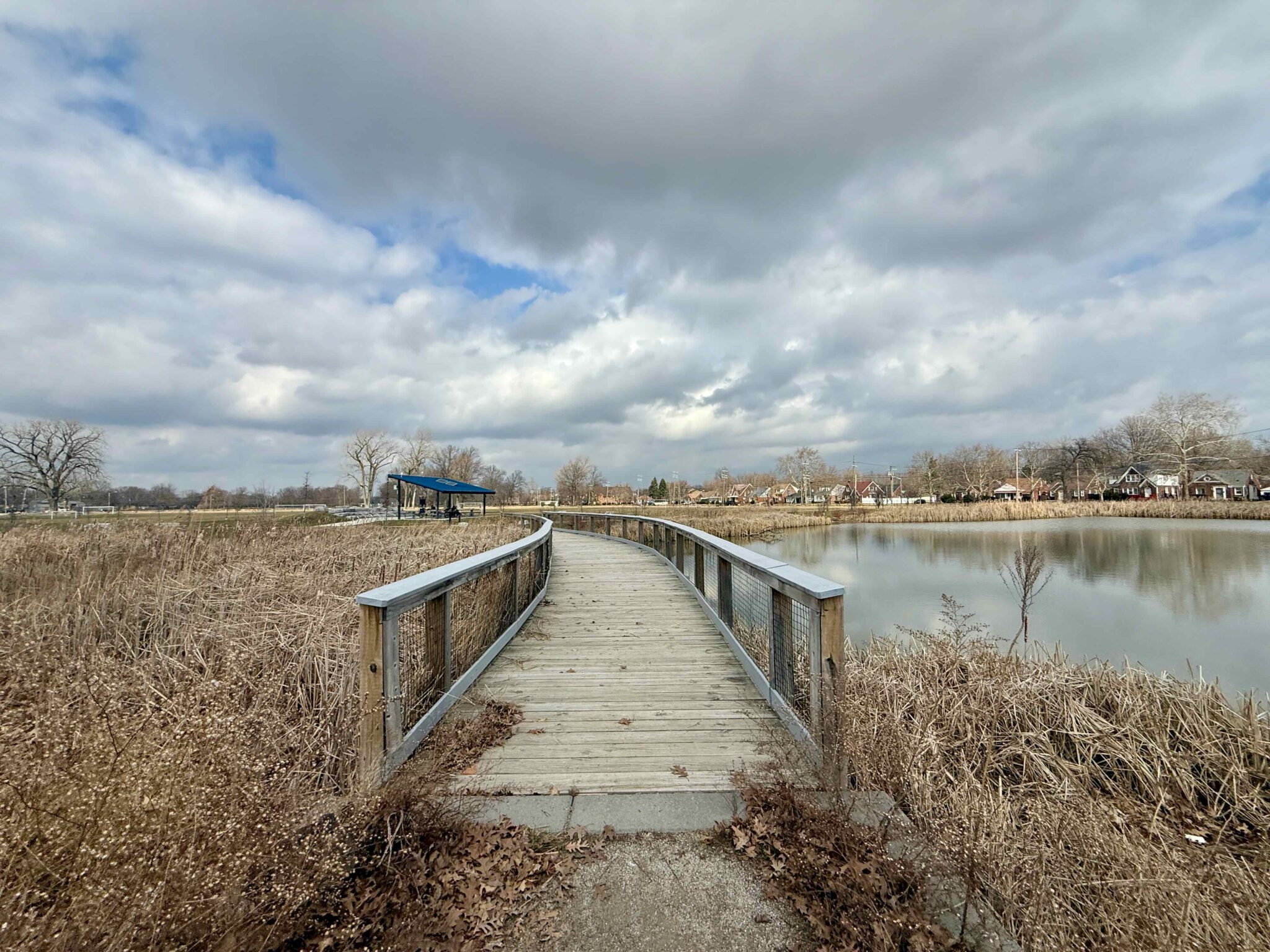 Planet Detroit Community Walk at Chandler Park. 