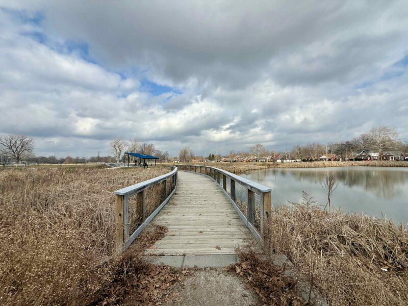 The Chandler Park Marshland on Detroit's east side.