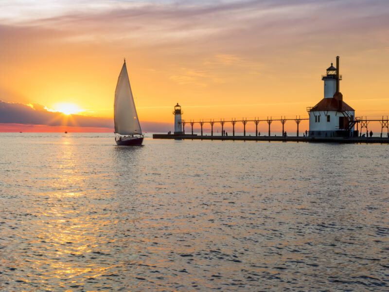 VOICES: Protecting what we love in the age of AI