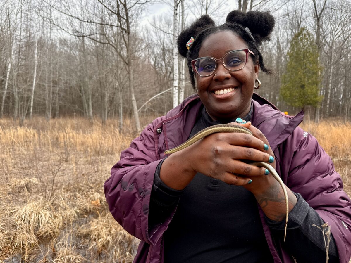 Detroit nature group joins Sibley Prairie coalition to preserve ‘last of its kind’ landscape