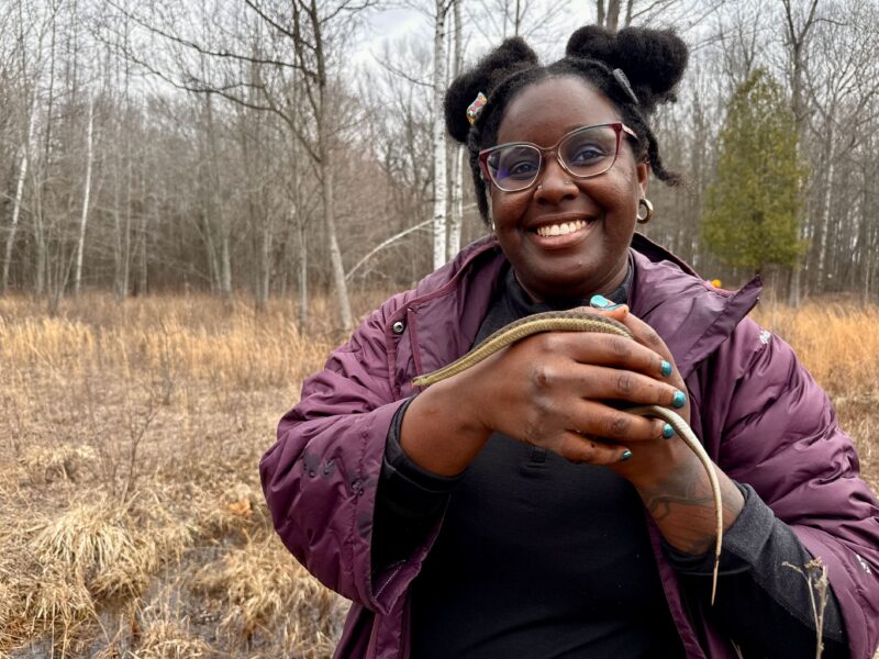 Herpetologist Dr. Earyn McGee holds snake at Sibley Prairie