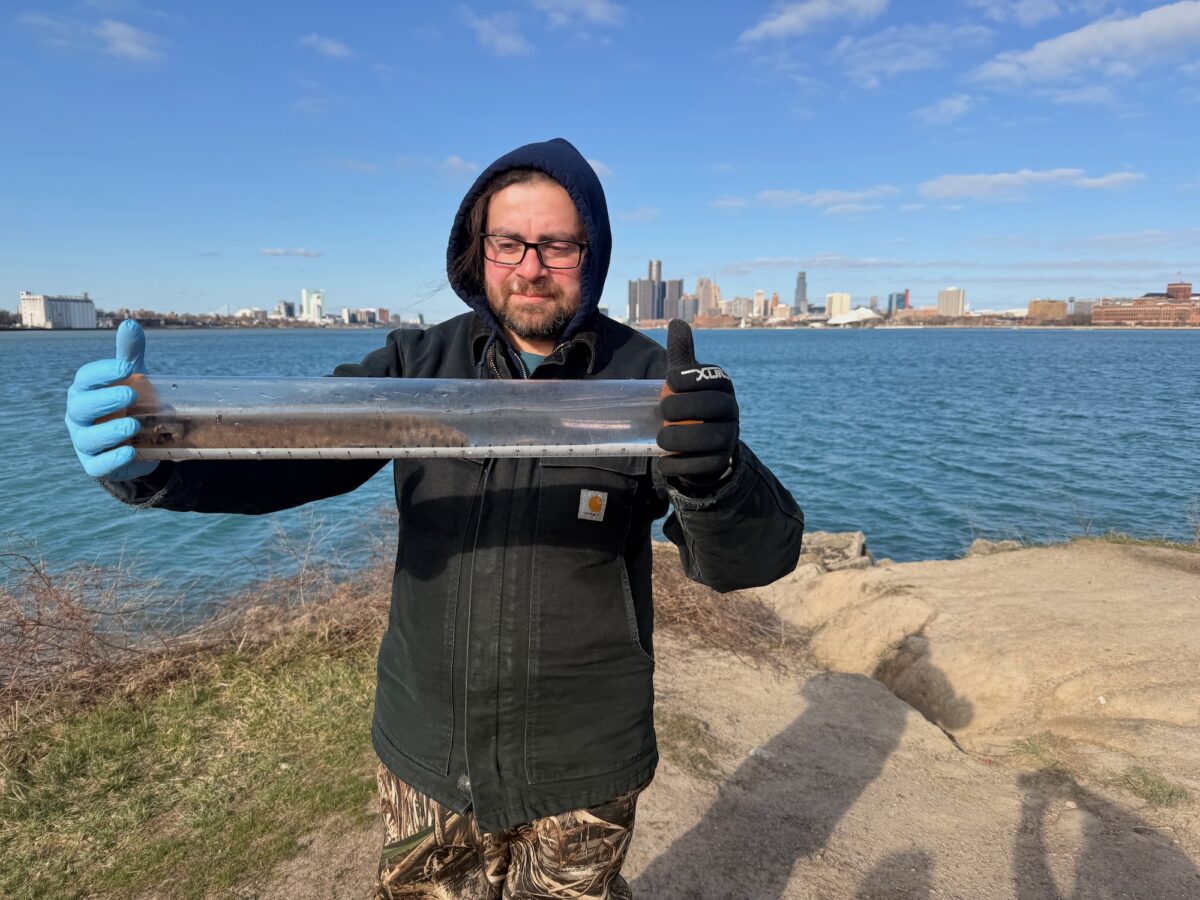 Meet the salamanders keeping watch over the Detroit River