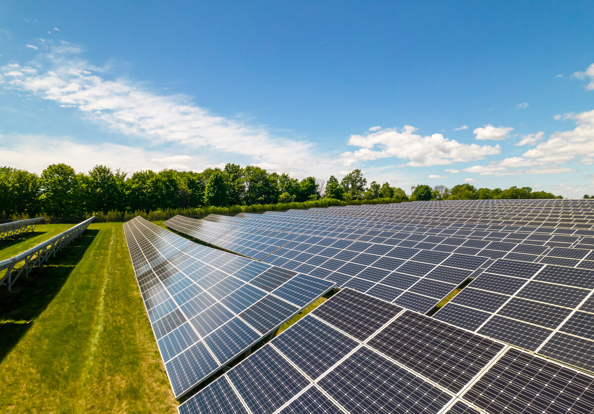 Solar panels in a field
