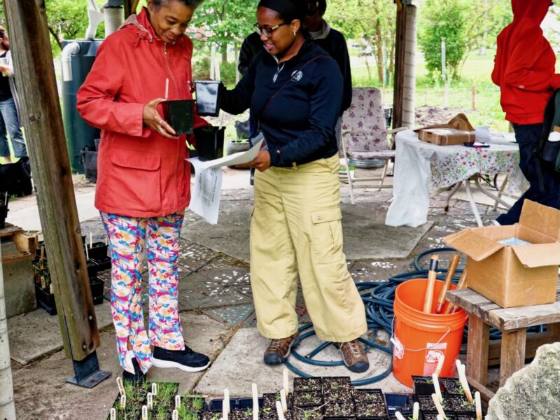How one woman is connecting Detroit’s houses of worship to environmental action