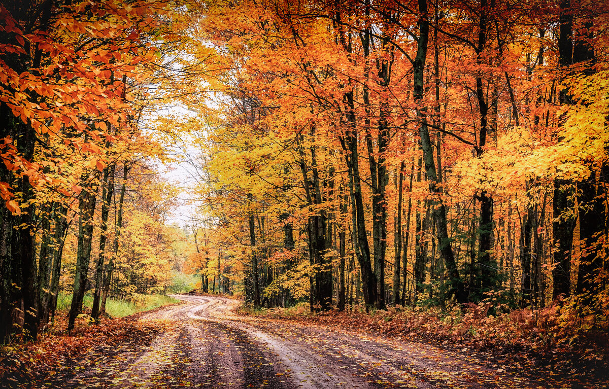 Fall colors in Houghton County.