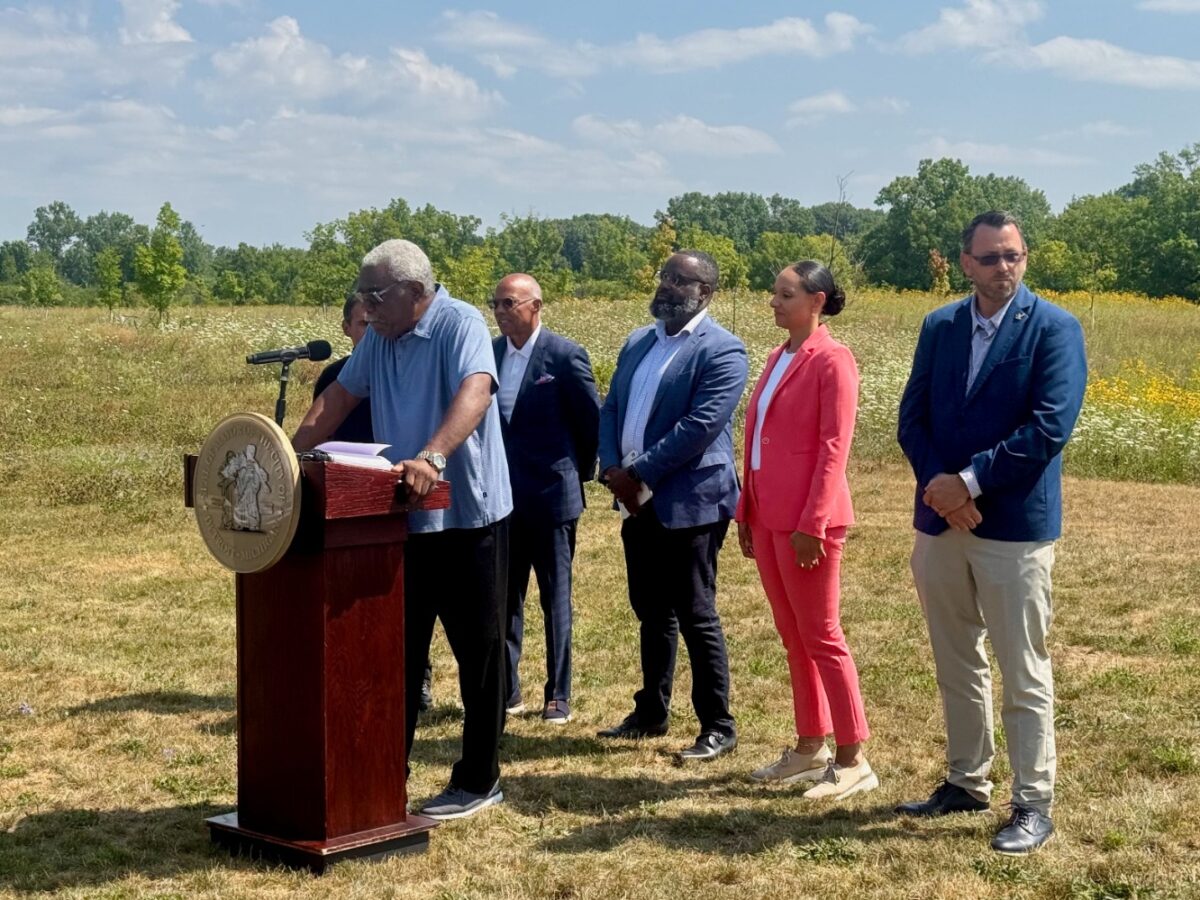 Can green infrastructure fortify flood-prone Southeast Michigan? ‘We’re opening the door for projects’