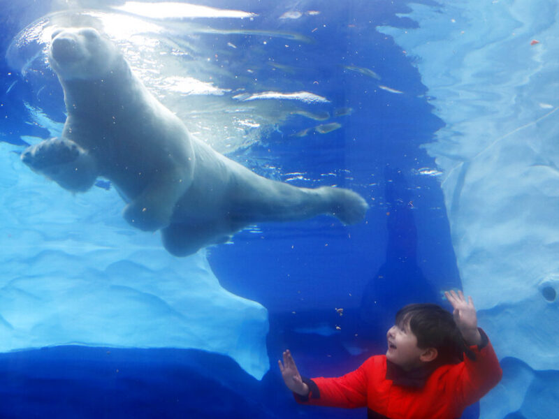 Michigan grants help Detroit Zoo, Bell’s Brewery map decarbonization efforts