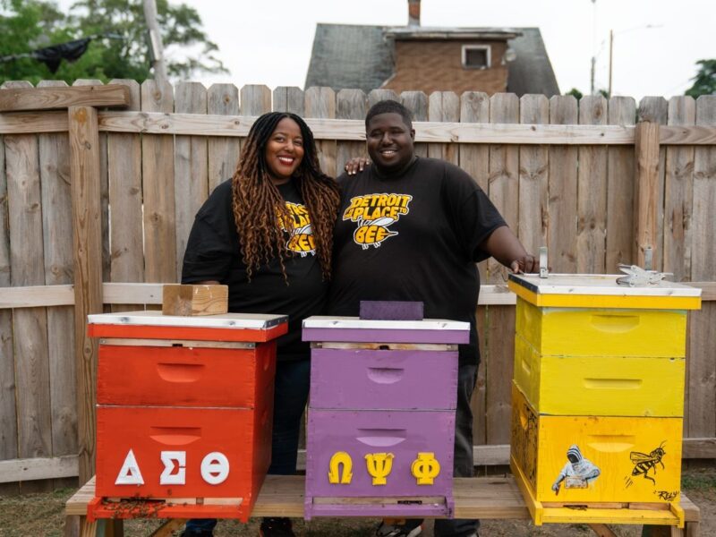 Detroit Hives turns 10: How two Detroiters transformed vacant lots into thriving pollinator habitats