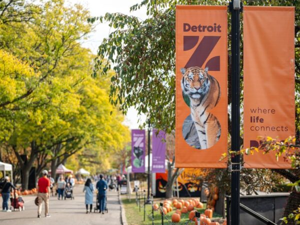 Detroit museum, zoo millages on the November ballot: What’s at stake?
