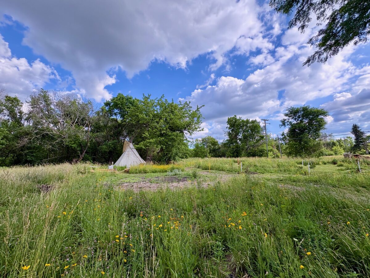 Voices: The story of Noojimo’waning, Detroit’s first Indigenous Land Back project