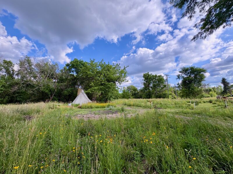 The tipi at Noojimo’waning, the Land Back project in Poletown East's Arboretum Detroit