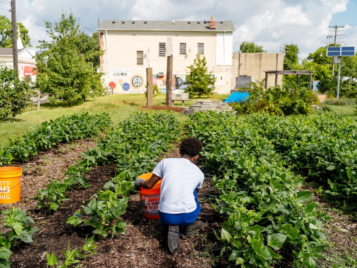 From ‘Three Sisters’ to 3200+ gardens: The long history of growing food in Detroit